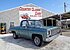 1977 Chevrolet C/K Truck for sale 100970467